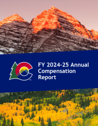 FY 2024-25 Annual Compensation Report Cover
