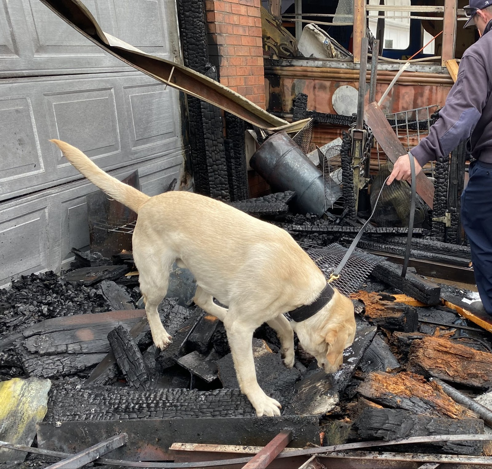 K9 ROTC during a fire investigation